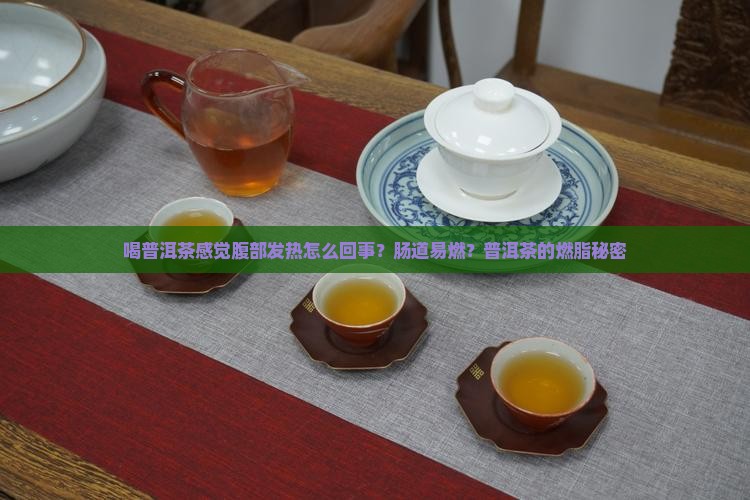 喝普洱茶感觉腹部发热怎么回事？肠道易燃？普洱茶的燃脂秘密