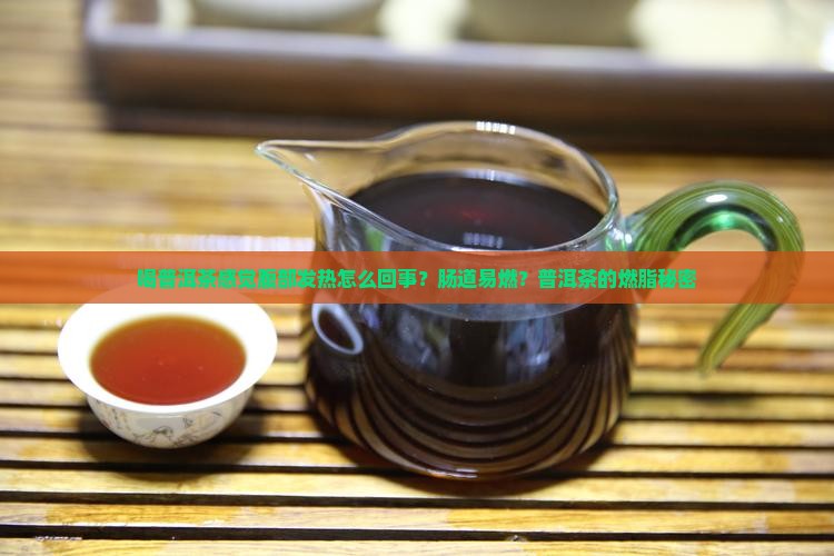 喝普洱茶感觉腹部发热怎么回事？肠道易燃？普洱茶的燃脂秘密
