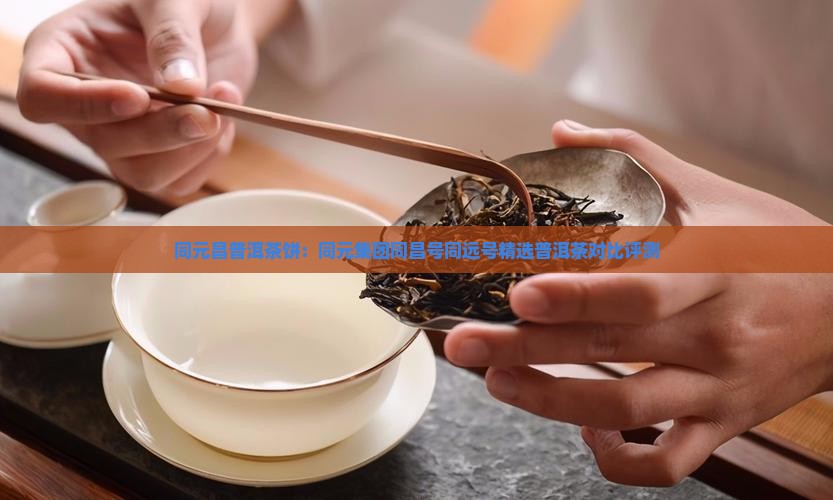 同元昌普洱茶饼：同元集团同昌号同远号精选普洱茶对比评测