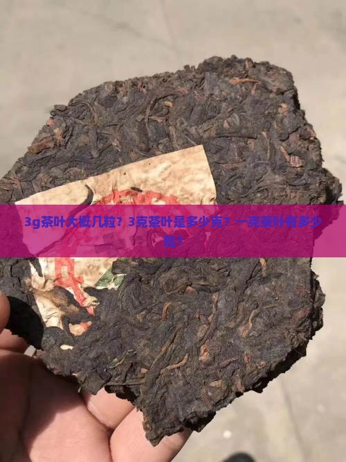 3g茶叶大概几粒？3克茶叶是多少克？一克茶叶有多少粒？