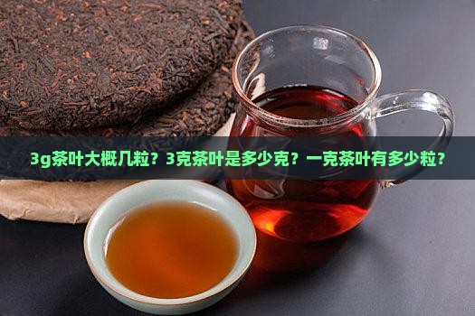 3g茶叶大概几粒？3克茶叶是多少克？一克茶叶有多少粒？