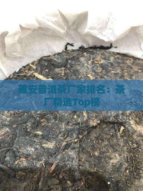 雅安普洱茶厂家排名：茶厂精选Top榜
