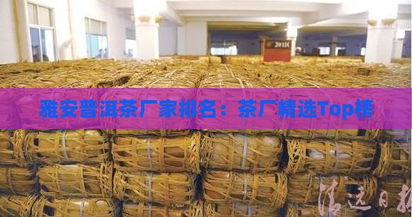 雅安普洱茶厂家排名：茶厂精选Top榜