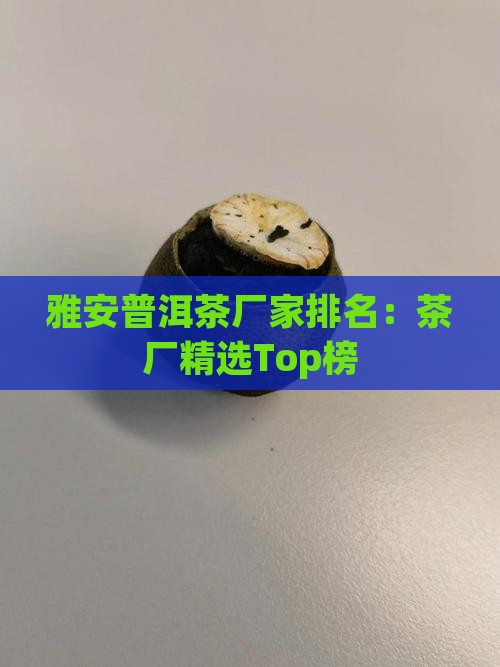 雅安普洱茶厂家排名：茶厂精选Top榜