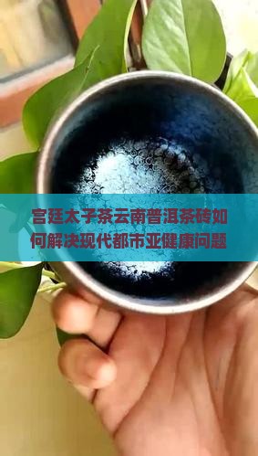 宫廷太子茶云南普洱茶砖如何解决现代都市亚健康问题？新式养生热词！
