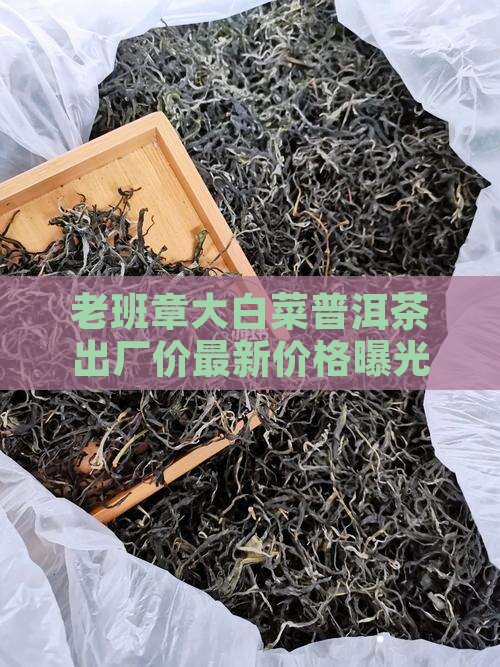 老班章大白菜普洱茶出厂价最新价格曝光