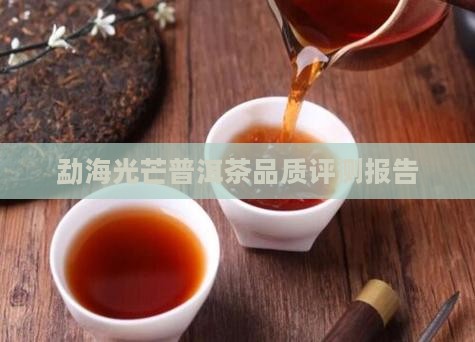 勐海光芒普洱茶品质评测报告