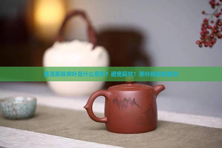 普洱茶挑黄叶是什么意思？避免踩坑！茶叶挑选新趋势