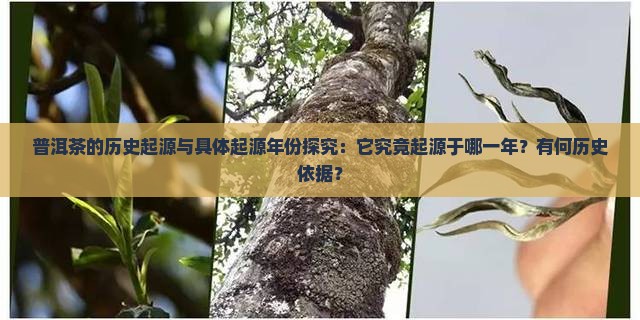 普洱茶的历史起源与具体起源年份探究：它究竟起源于哪一年？有何历史依据？