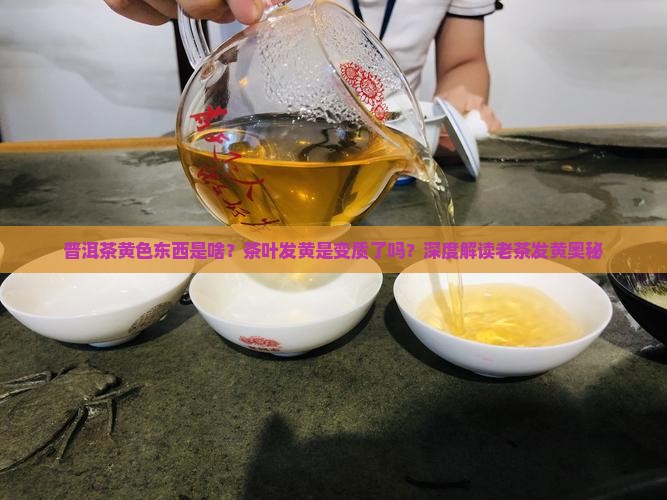 普洱茶黄色东西是啥？茶叶发黄是变质了吗？深度解读老茶发黄奥秘