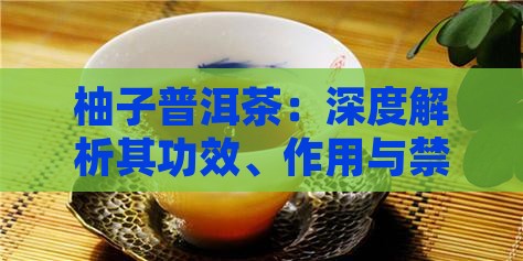 柚子普洱茶：深度解析其功效、作用与禁忌