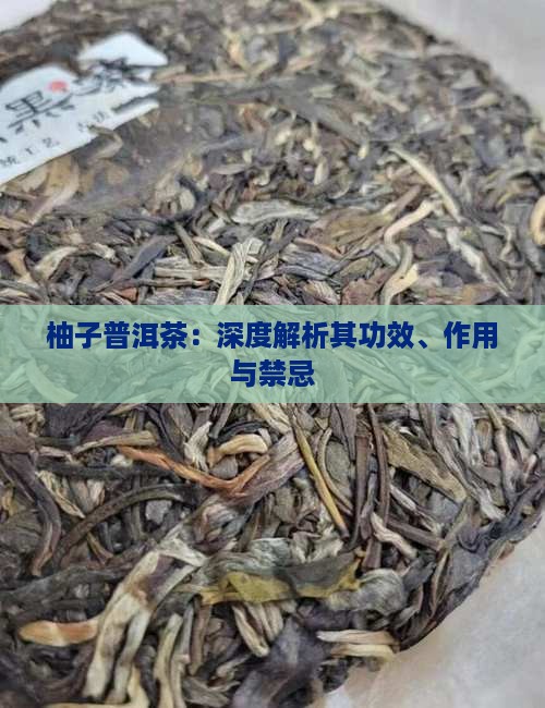柚子普洱茶：深度解析其功效、作用与禁忌