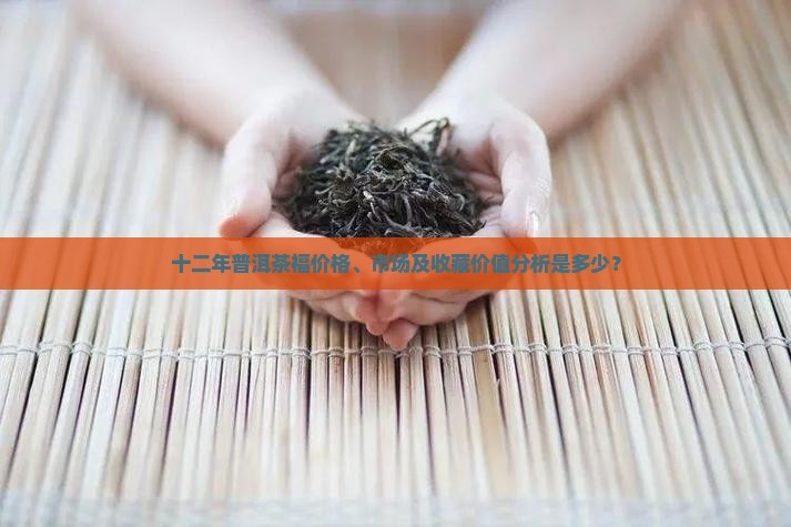 十二年普洱茶福价格、市场及收藏价值分析是多少？