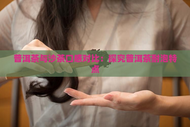 普洱茶与沙茶口感对比：探究普洱茶耐泡特点