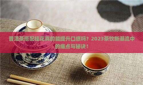 普洱茶搭配桂花真的能提升口感吗？2023茶饮新潮流中的痛点与秘诀！