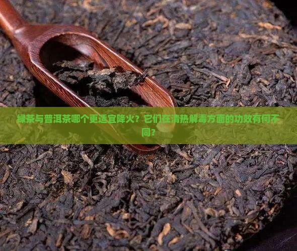绿茶与普洱茶哪个更适宜降火？它们在清热解毒方面的功效有何不同？