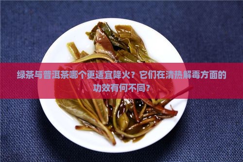 绿茶与普洱茶哪个更适宜降火？它们在清热解毒方面的功效有何不同？