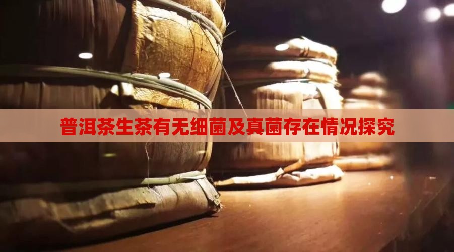 普洱茶生茶有无细菌及真菌存在情况探究