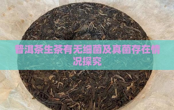 普洱茶生茶有无细菌及真菌存在情况探究