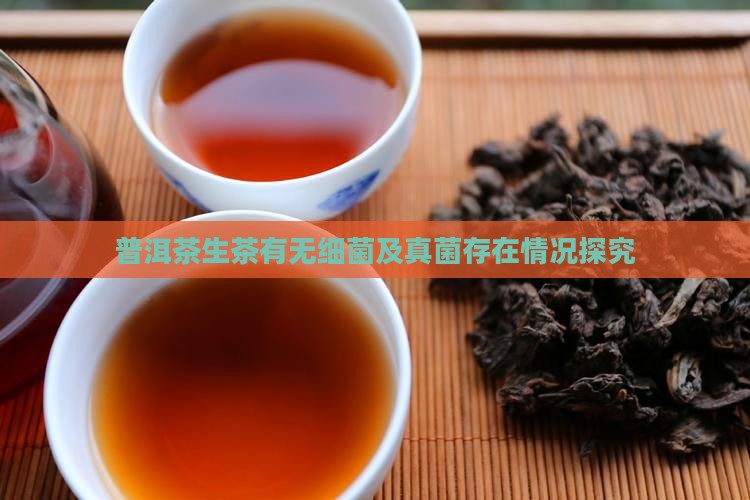 普洱茶生茶有无细菌及真菌存在情况探究
