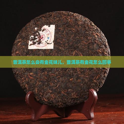 普洱茶怎么会有金花味儿，普洱茶有金花怎么回事