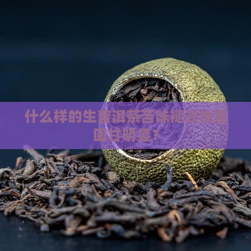 什么样的生普洱茶苦味褪去快且回甘明显？