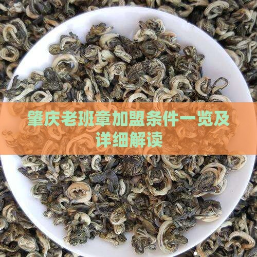 肇庆老班章加盟条件一览及详细解读
