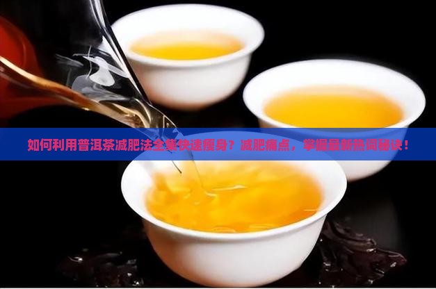 如何利用普洱茶减肥法全集快速瘦身？减肥痛点，掌握最新热词秘诀！