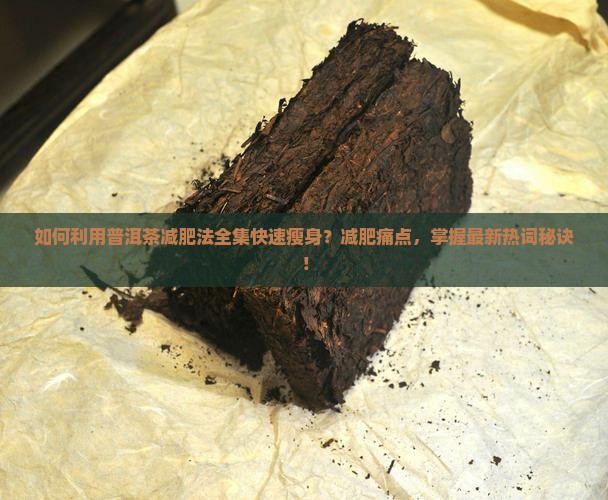 如何利用普洱茶减肥法全集快速瘦身？减肥痛点，掌握最新热词秘诀！