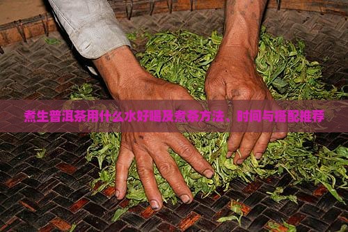 煮生普洱茶用什么水好喝及煮茶方法、时间与搭配推荐