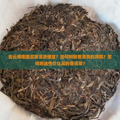去云南哪里买普洱茶便宜？如何辨别普洱茶的真假？怎样挑选性价比高的普洱茶？