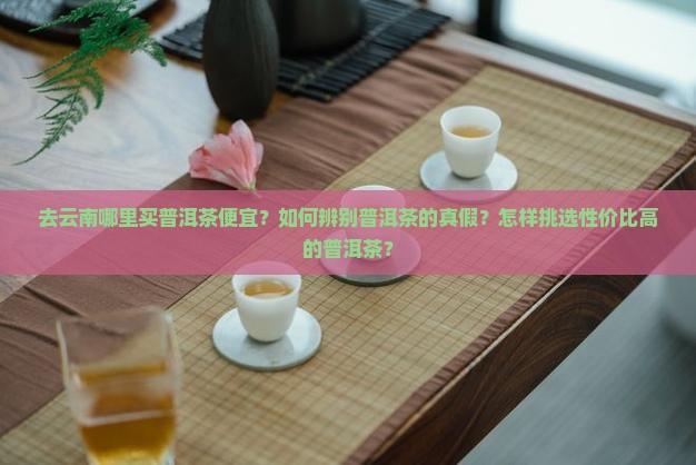 去云南哪里买普洱茶便宜？如何辨别普洱茶的真假？怎样挑选性价比高的普洱茶？