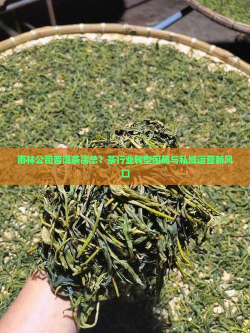 雨林公司普洱茶高总？茶行业转型困局与私域运营新风口