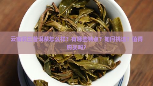 云南啊兰普洱茶怎么样？有哪些特点？如何挑选？值得购买吗？