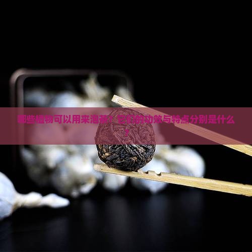 哪些植物可以用来泡茶？它们的功效与特点分别是什么？