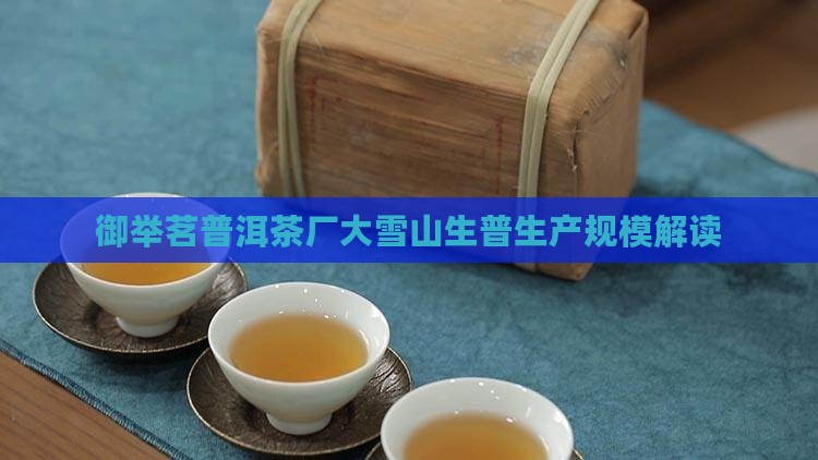 御举茗普洱茶厂大雪山生普生产规模解读