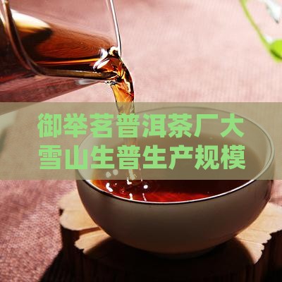 御举茗普洱茶厂大雪山生普生产规模解读