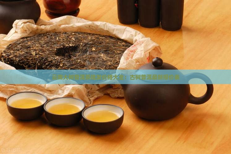 云南大树普洱茶批发价格大全：古树普洱最新报价表