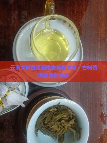 云南大树普洱茶批发价格大全：古树普洱最新报价表