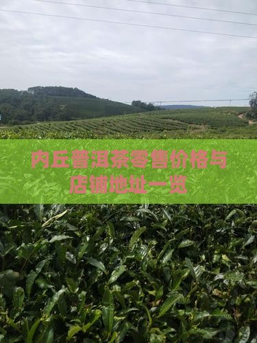 内丘普洱茶零售价格与店铺地址一览