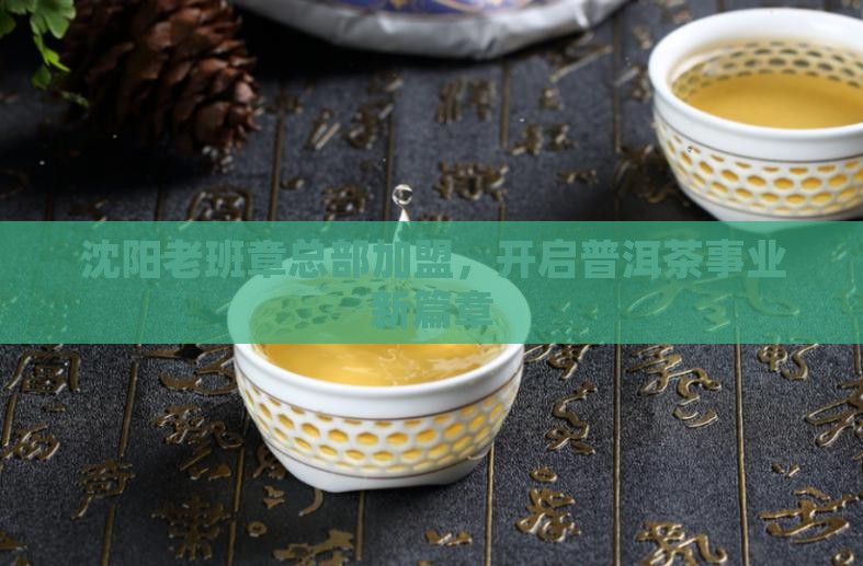 沈阳老班章总部加盟，开启普洱茶事业新篇章