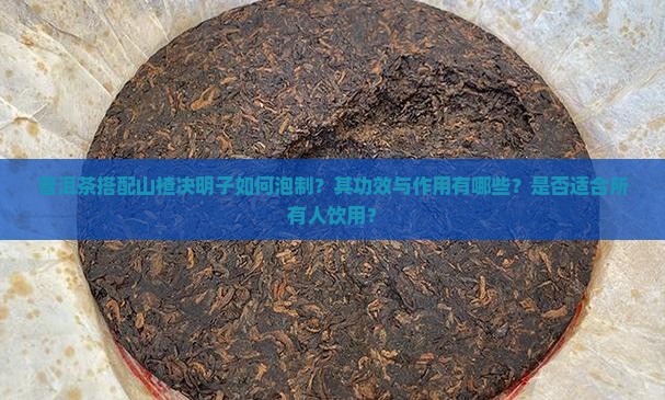 普洱茶搭配山楂决明子如何泡制?其功效与作用有哪些?是否适合所有人饮用? 普洱茶搭配山楂决明子如何泡制?其功效与作用有哪些?是否适合所有人饮用?