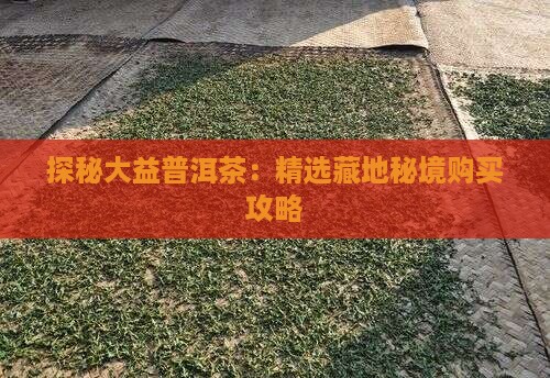 探秘大益普洱茶：精选藏地秘境购买攻略