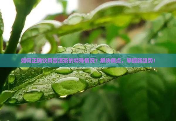 如何正确饮用普洱茶的特殊情况？解决痛点，掌握新趋势！