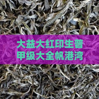大益大红印生普甲级大全帆港湾价