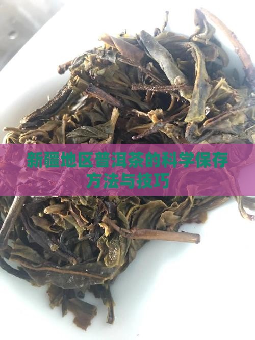 新疆地区普洱茶的科学保存方法与技巧