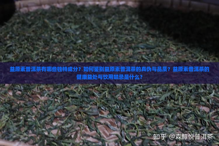 益原素普洱茶有哪些独特成分？如何鉴别益原素普洱茶的真伪与品质？益原素普洱茶的健康益处与饮用禁忌是什么？