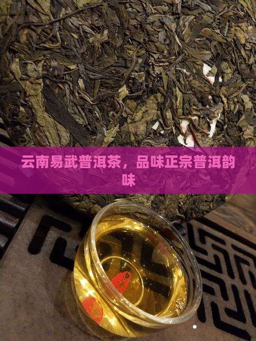 云南易武普洱茶，品味正宗普洱韵味