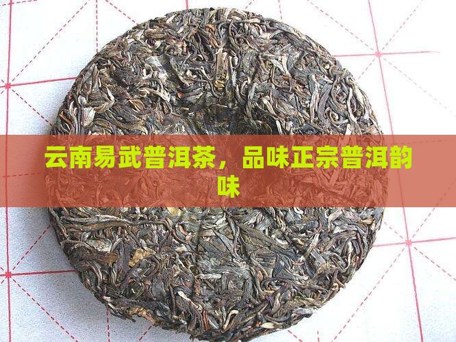 云南易武普洱茶，品味正宗普洱韵味