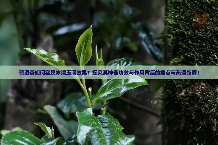 普洱茶如何实现冰清玉润效果?探究其神奇功效与作用背后的痛点与热词新解! 普洱茶如何实现冰清玉润效果?探究其神奇功效与作用背后的痛点与热词新解!